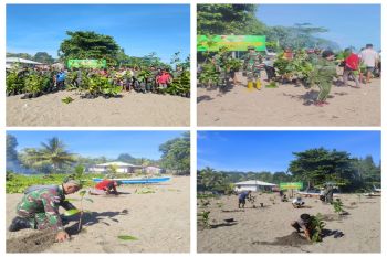 Kodim Talaud dan Koramil Melonguane  tanam pohon di pesisir pantai
