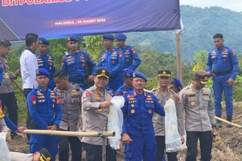 Kapolda Sulbar tebar 70.000 benih udang di Dusun Deking Majene