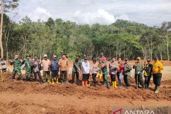 Cegah longsor susulan Forkopimcam Lengkong Sukabumi lakukan reboisasi