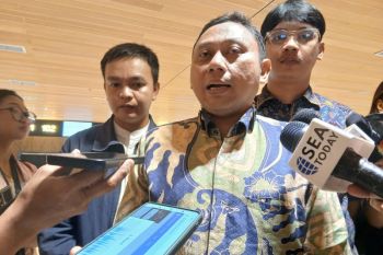 Soetta Airport expects 184,000 fliers during homecoming peak