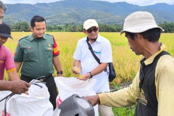 Bulog Bukittinggi Sumbar serap 467 ton beras panen masyarakat
