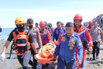 Warga tewas diterkam buaya saat berenang di pantai