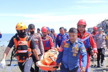 Seorang warga Palu tewas diterkam buaya saat berenang di pantai