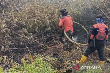 BPBD: Kebakaran di Aceh Barat meluas menjadi 2,5 Ha