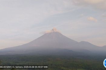 Semeru kembali alami erupsi tiga kali dengan letusan setinggi 400 meter