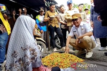 Gubernur Kalteng pantau harga bapok di Sampit jelang Lebaran