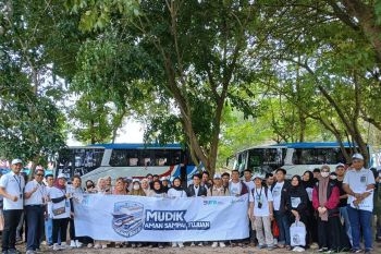 Idul Fitri makin berkesan, PT Timah dan Kementerian BUMN antarkan ratusan pemudik ke kampung halaman