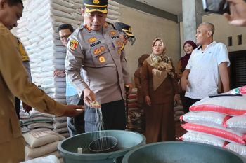 Pemkab Pasaman Barat pastikan ketersediaan pangan jelang Idul Fitri