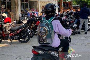Mudik bermotor, pemudik tujuan Rohil bawa kucing ke kampung halaman