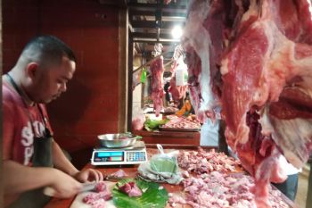Harga daging sapi dan ayam di Pangkalpinang relatif stabil jelang Idul Fitri