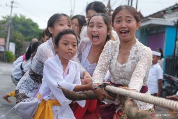 Tradisi Mbed-Mbedan di Desa Semate Bali