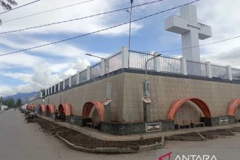 DLH Jayawijaya tanam 1.000 pohon cemara-pucuk merah percantik Kota Wamena