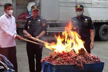 Bea Cukai Aceh musnahkan ribuan karung bawang impor mengandung virus