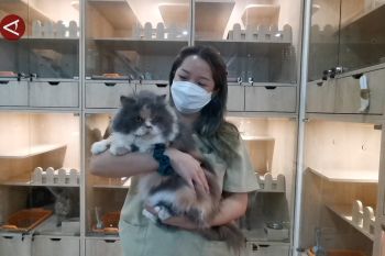 Libur Lebaran, hotel anabul di Solo penuh pesanan