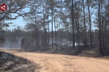 Karhutla Hutan Nasional Sam Houston meluas, 900 rumah terancam