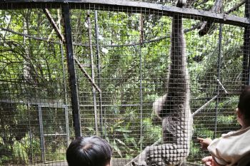 Polda Lampung tingkatkan pengamanan lokasi wisata pada libur Lebaran