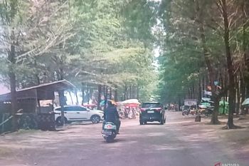 Dispar: Objek wisata pantai Pasaman Barat siap sambut wisatawan