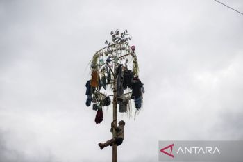 Tradisi panjat pinang Lebaran