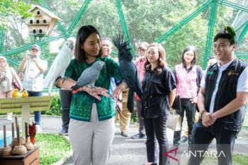 Pengunjung TMII naik 2.000 orang dibanding Lebaran tahun lalu