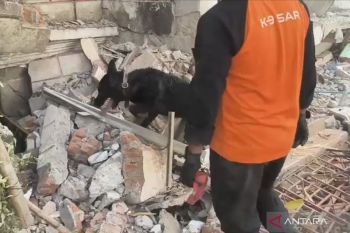 Tim K9 Polri temukan korban gempa Myanmar dalam operasi SAR