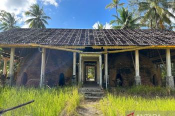 Jejak konservasi mangrove dari perempuan di Desa Berakit
