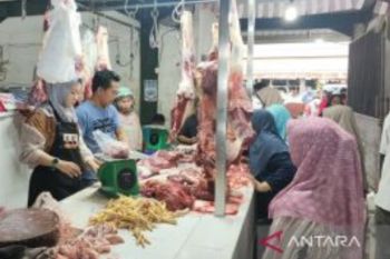 Harga Daging Sapi Segar di Tanjung Selor Kembali Normal