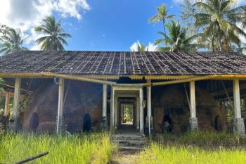 Jejak konservasi mangrove dari perempuan Desa Berakit, Bintan