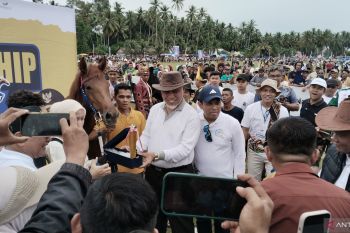 Event Pacu Kudo Padang Pariaman dibuka usai lama non-aktif