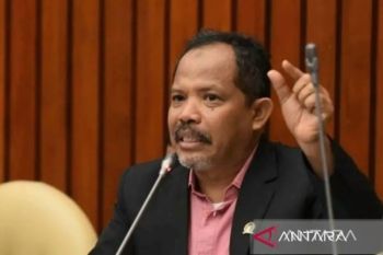 Anggota DPR RI: Kebijakan tarif Trump jadi momentum perkuat pangan lokal
