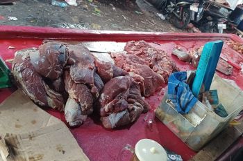 Harga daging sapi di Pasar Daya Makassar relatif stabil pasca lebaran