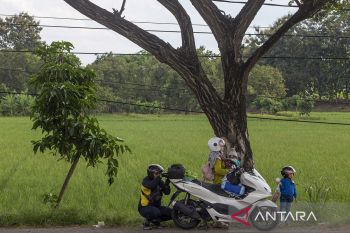 Arus balik Lebaran di jalur pantura Indramayu