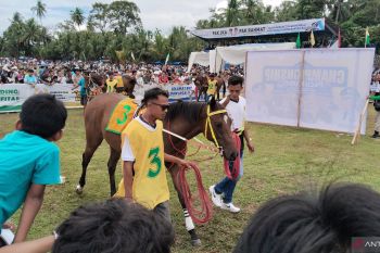 Masyarakat antusias saksikan pancuan kuda di Padang Pariaman