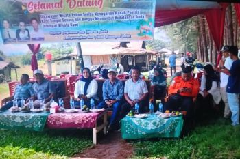 Dispar: Pesta Pantai Sasak Pasaman Barat 2025 berjalan lancar