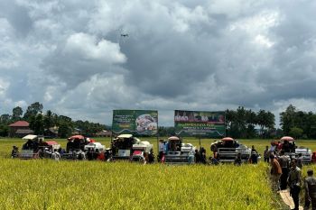 Pemprov Sulsel panen raya serentak di 12 kabupaten