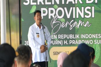 17 kelompok penangkar benih padi di Kulon Progo dihidupkan kembali