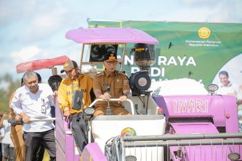 Gubernur Lampung panen raya padi serentak