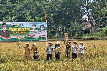 Pemkab OKU panen serentak 219,3 hektare tanaman padi
