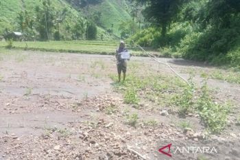 Pemprov NTB diminta pulihkan jaringan irigasi pascabanjir di Wera Bima