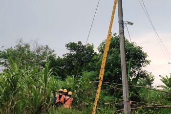 PLN Baturaja atasi gangguan  jaringan listrik akibat cuaca ekstrem