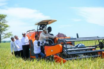 Fertilizer access revolution boosts rice productivity: Minister