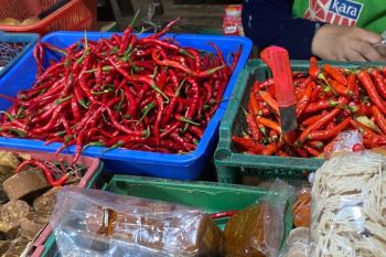 Inflasi Lampung dipicu kenaikan tarif listrik dan komoditas