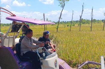 Bulog NTB serap gabah petani senilai Rp728 juta sekali transaksi