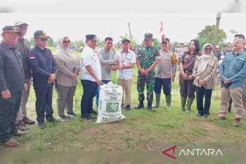 Bulog sudah serap 50 ton gabah di Kotim