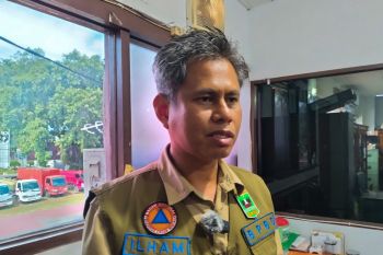 BPBD duga banjir Pesisir Selatan dipicu penumpukan sedimen sungai