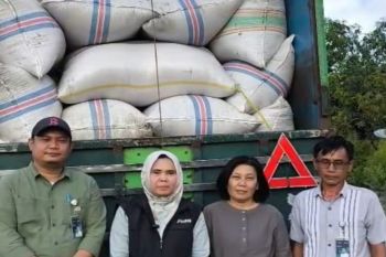 Bulog Sulteng serap sebanyak 10 ton gabah di Kabupaten Parigi Moutong