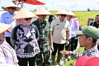 Pemkab Lampung Selatan ikuti kegiatan Panen Raya Serentak di 14 provinsi