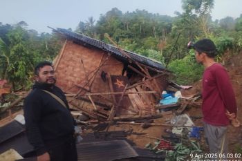 Tujuh rumah di Bandar Negeri Suoh Lampung Barat dirusak gajah liar