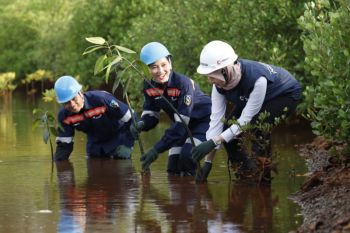 MIND ID tanam 126 ribu mangrove pesisir pantai guna dukung NZE