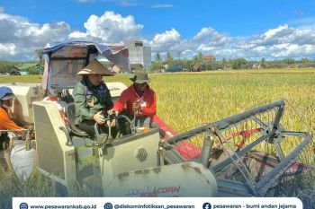 Pemkab Pesawaran dukung produktivitas petani dengan pengairan dan distribusi serapan gabah