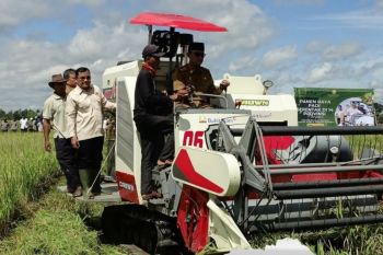 Lampung Tengah menjadi pusat panen raya padi serentak 14 provinsi di Indonesia